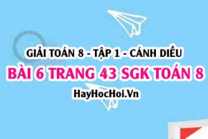Giải bài 6 trang 43 Toán 8 Tập 1 SGK Cánh Diều